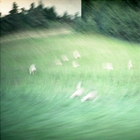 Moutons, Jeanne Fredac © Adagp, Paris, 2021